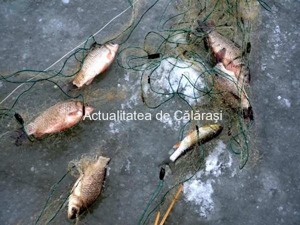 foto pescuit ilegal